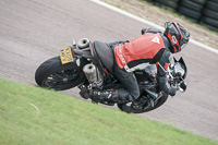 enduro-digital-images;event-digital-images;eventdigitalimages;lydden-hill;lydden-no-limits-trackday;lydden-photographs;lydden-trackday-photographs;no-limits-trackdays;peter-wileman-photography;racing-digital-images;trackday-digital-images;trackday-photos